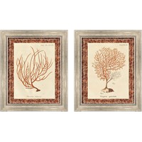 Framed 'Gorgonia Miniacea Marble 2 Piece Framed Art Print Set' border=