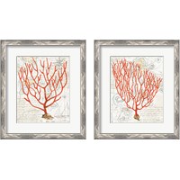 Framed Textured Coral 2 Piece Framed Art Print Set