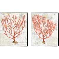 Framed Textured Coral 2 Piece Canvas Print Set