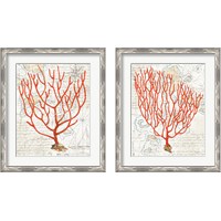 Framed 'Textured Coral 2 Piece Framed Art Print Set' border=