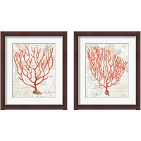 Framed 'Textured Coral 2 Piece Framed Art Print Set' border=