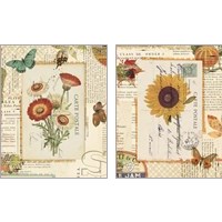 Framed 'Falling for Fall 2 Piece Art Print Set' border=