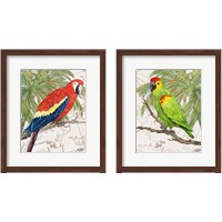 Framed 'Another Bird in Paradise 2 Piece Framed Art Print Set' border=