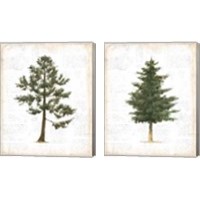 Framed Into the Woods 2 Piece Canvas Print Set