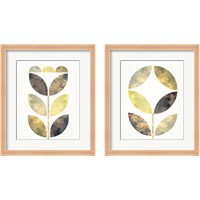 Framed 'Golden Flower 2 Piece Framed Art Print Set' border=