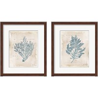 Framed Sea Garden 2 Piece Framed Art Print Set