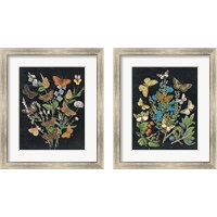 Framed Butterfly Bouquet on Black 2 Piece Framed Art Print Set