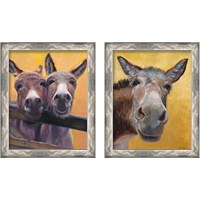 Framed 'Adorable Donkey 2 Piece Framed Art Print Set' border=