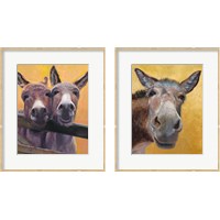 Framed Adorable Donkey 2 Piece Framed Art Print Set
