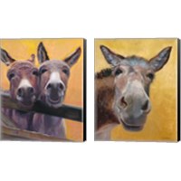 Framed 'Adorable Donkey 2 Piece Canvas Print Set' border=