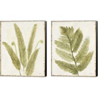Framed Forest Ferns 2 Piece Canvas Print Set
