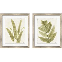 Framed 'Forest Ferns 2 Piece Framed Art Print Set' border=