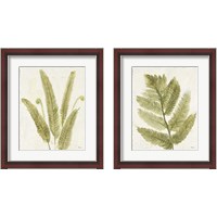 Framed Forest Ferns 2 Piece Framed Art Print Set