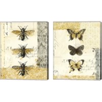 Framed Golden Bees n Butterflies 2 Piece Canvas Print Set