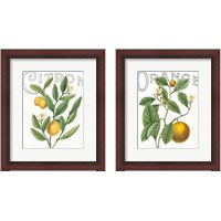 Framed Classic Citrus 2 Piece Framed Art Print Set