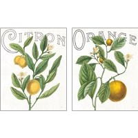 Framed 'Classic Citrus 2 Piece Art Print Set' border=