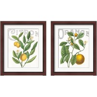 Framed 'Classic Citrus 2 Piece Framed Art Print Set' border=
