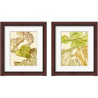 Framed 'Vintage Seaweed Collection 2 Piece Framed Art Print Set' border=