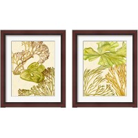 Framed Vintage Seaweed Collection 2 Piece Framed Art Print Set
