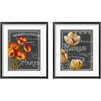 Framed Chalkboard Paris  2 Piece Framed Art Print Set