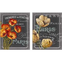 Framed 'Chalkboard Paris  2 Piece Art Print Set' border=