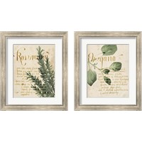 Framed 'Herb Study 2 Piece Framed Art Print Set' border=