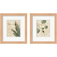 Framed 'Herb Study 2 Piece Framed Art Print Set' border=