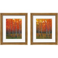 Framed Changing Colors 2 Piece Framed Art Print Set