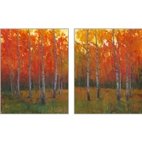 Framed 'Changing Colors 2 Piece Art Print Set' border=