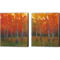 Framed Changing Colors 2 Piece Canvas Print Set