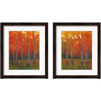 Framed 'Changing Colors 2 Piece Framed Art Print Set' border=