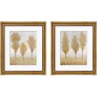 Framed Autumn Springs 2 Piece Framed Art Print Set