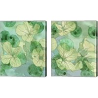 Framed 'Mint Progeny 2 Piece Canvas Print Set' border=