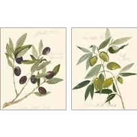 Framed 'Olive Branch 2 Piece Art Print Set' border=