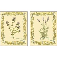 Framed 'Vintage Herb 2 Piece Art Print Set' border=