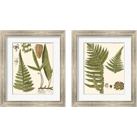 Framed 'Small Antique Fern 2 Piece Framed Art Print Set' border=