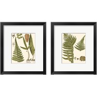 Framed 'Small Antique Fern 2 Piece Framed Art Print Set' border=