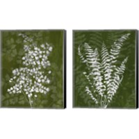Framed 'Jewel Ferns 2 Piece Canvas Print Set' border=