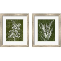 Framed 'Jewel Ferns 2 Piece Framed Art Print Set' border=