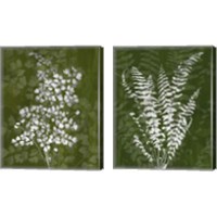 Framed 'Jewel Ferns 2 Piece Canvas Print Set' border=