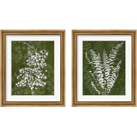 Framed Jewel Ferns 2 Piece Framed Art Print Set