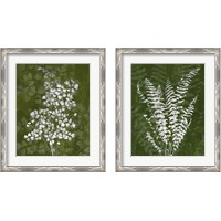 Framed 'Jewel Ferns 2 Piece Framed Art Print Set' border=