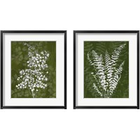 Framed 'Jewel Ferns 2 Piece Framed Art Print Set' border=