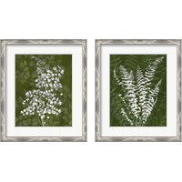 Framed 'Jewel Ferns 2 Piece Framed Art Print Set' border=