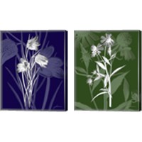 Framed 'Jewel Stems 2 Piece Canvas Print Set' border=