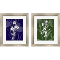 Framed Jewel Stems 2 Piece Framed Art Print Set