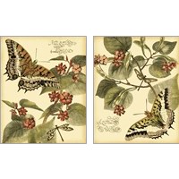 Framed 'Mini Whimsical Butterflies 2 Piece Art Print Set' border=