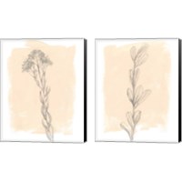 Framed Branch on Blush 2 Piece Canvas Print Set