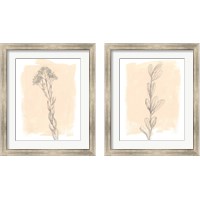 Framed Branch on Blush 2 Piece Framed Art Print Set