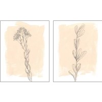 Framed 'Branch on Blush 2 Piece Art Print Set' border=